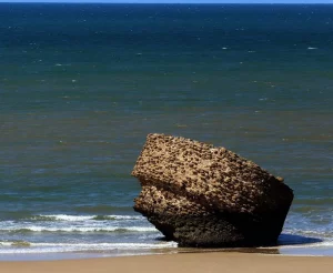 Playa de Matalascañas
